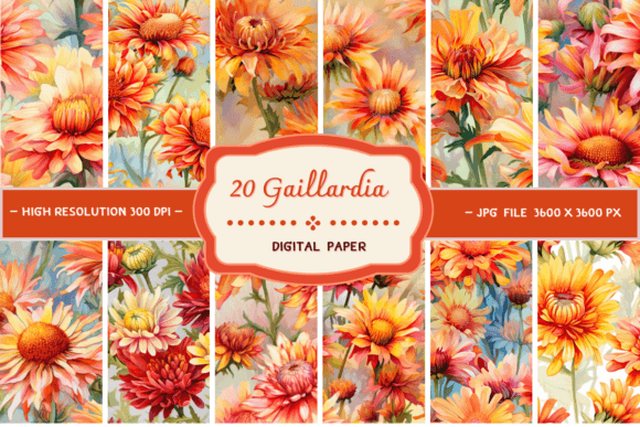 Gaillardia Flowers Digital Backgrounds: Bold, Sun-Kissed Design