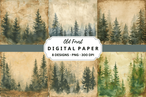 Old Forest Backgrounds: Nature's Textured Canvas for Designers
